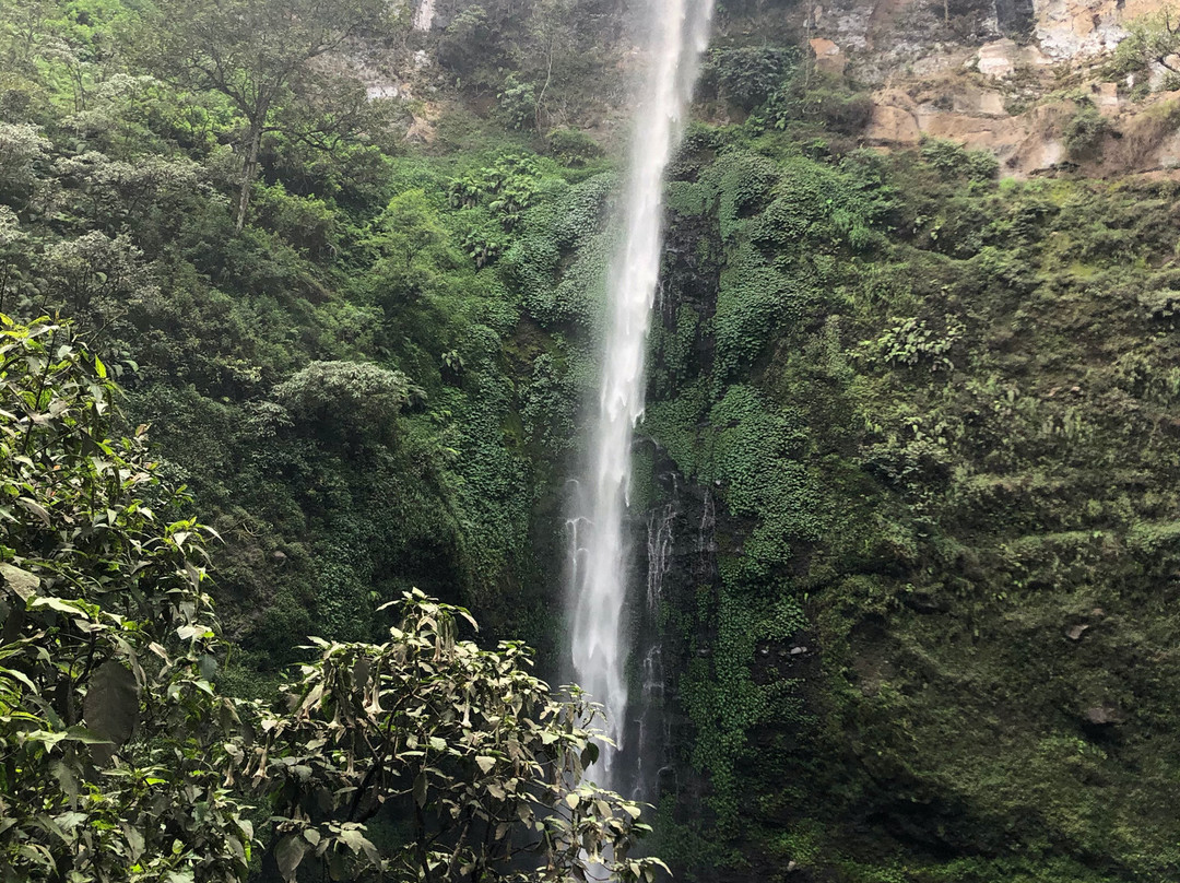 Coban Rondo Waterfall景点图片