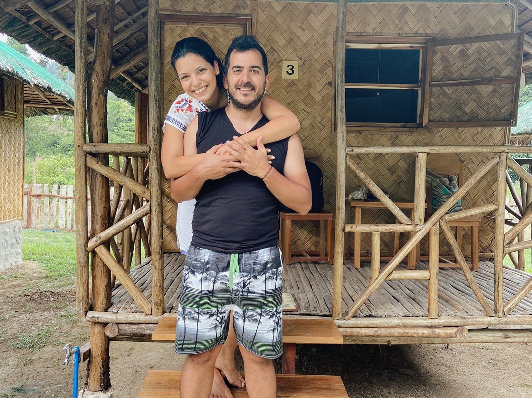 Back Trippers Inn主图