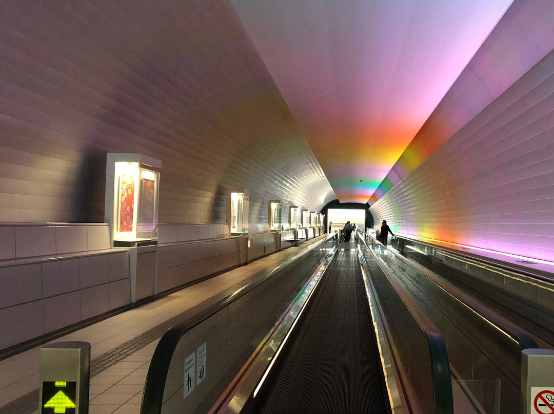 Rainbow Tunnel景点图片