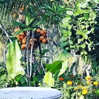 杜古村家庭旅馆主图