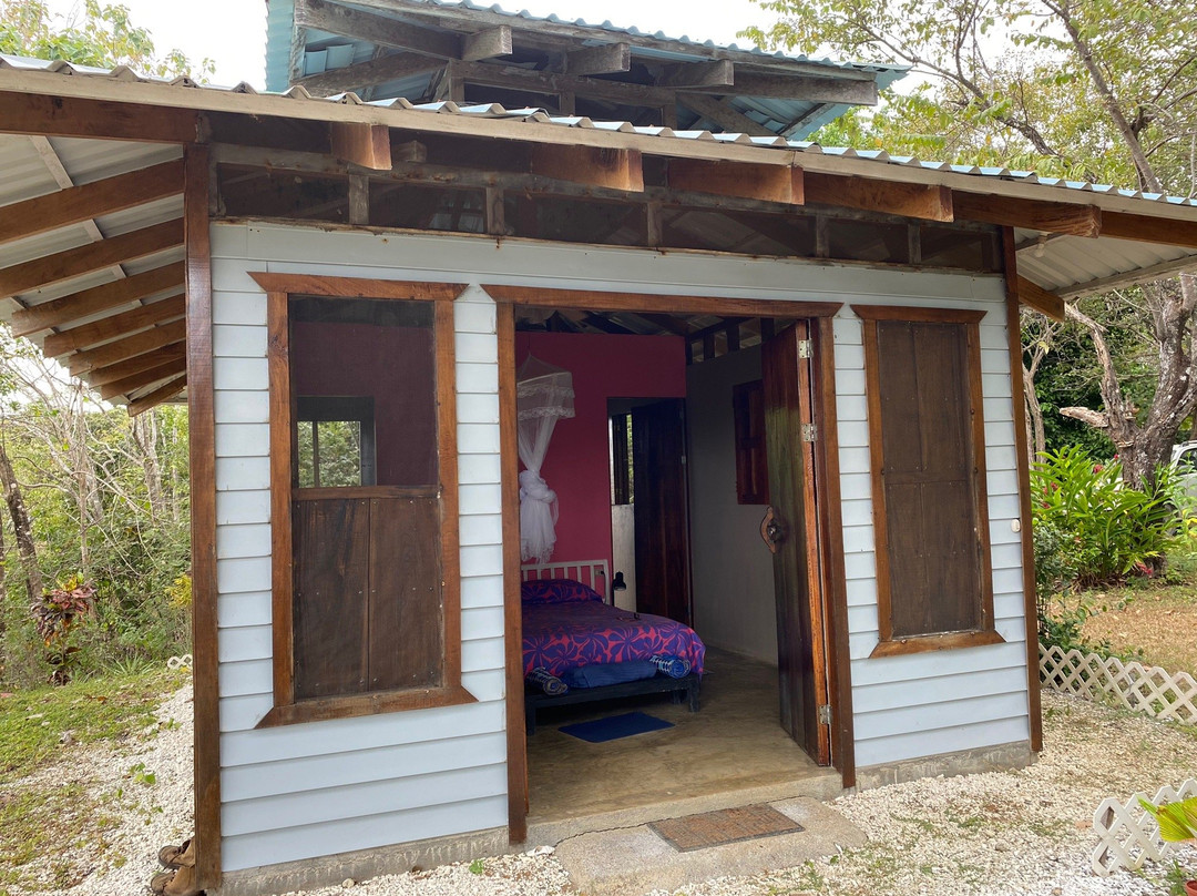 Treetops B&B Inn主图