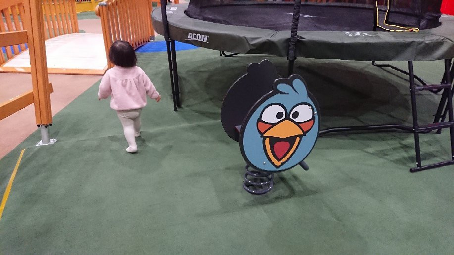 Angry Birds Activity Park-库萨莫必去景点