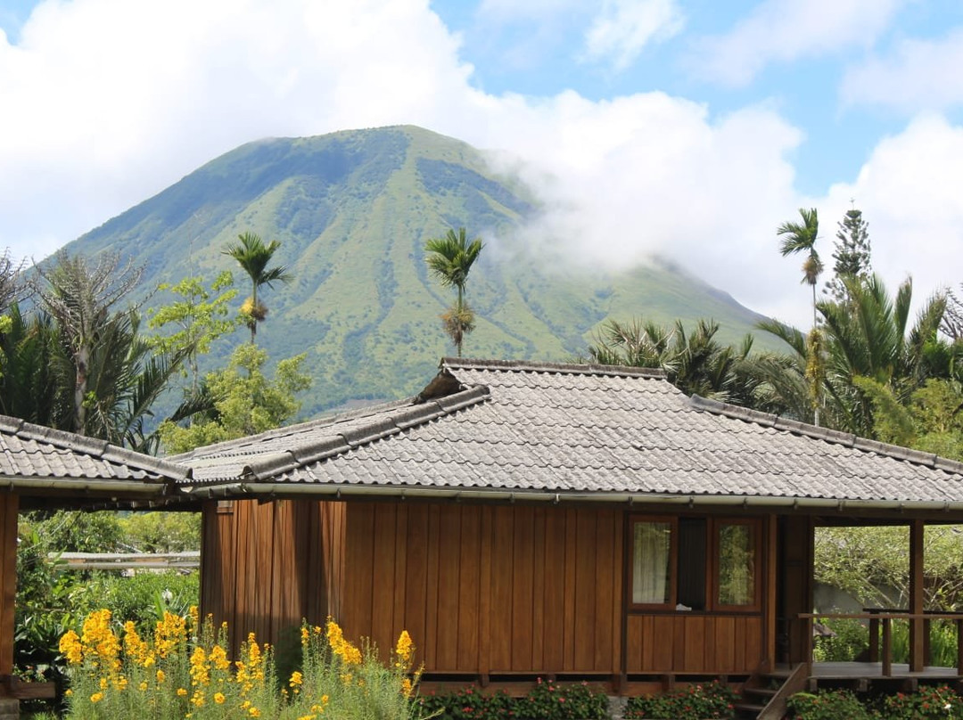 Gardenia Country Inn主图