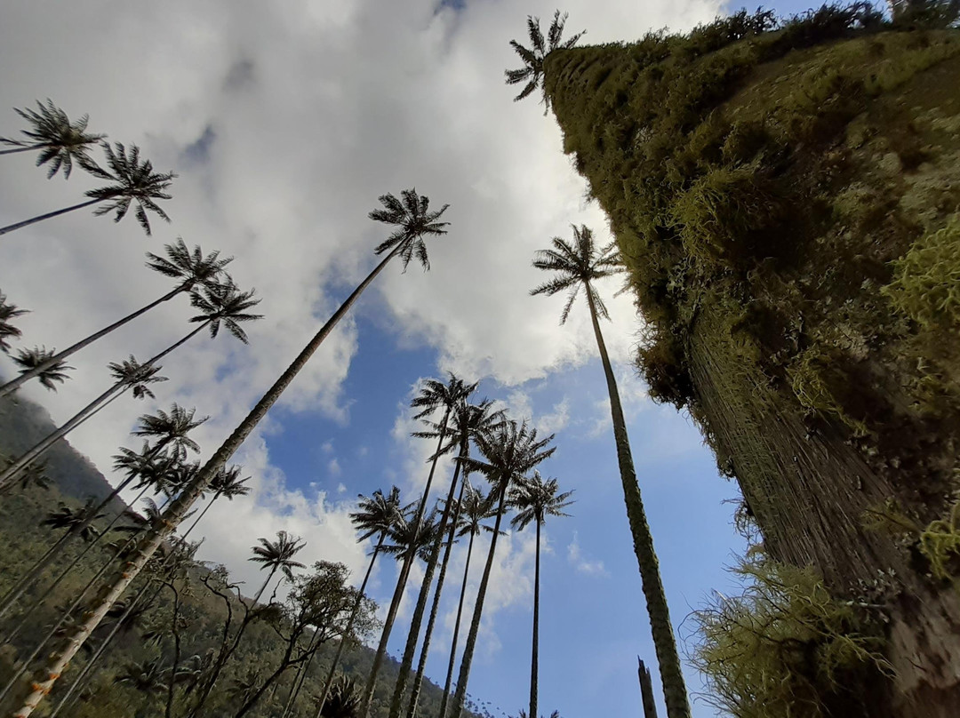 Cascada Sagrada-Pijao必去景点