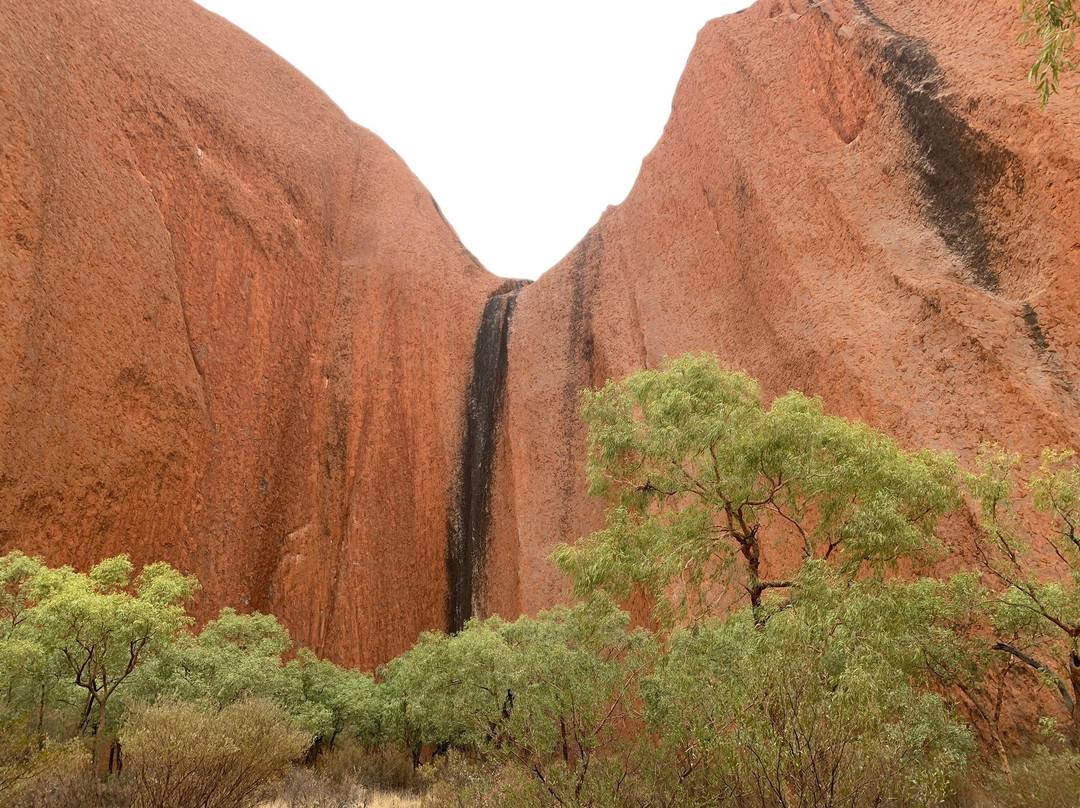 Outback Tour Services-爱丽斯泉必去景点