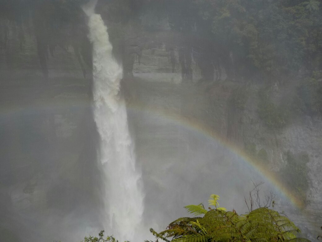 Mount Damper Falls景点图片