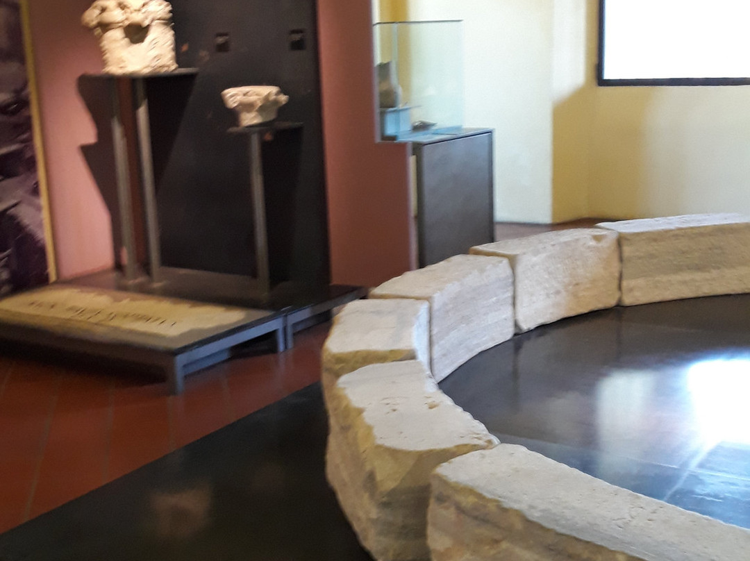 Museo Archeologico di Acqui Terme景点图片