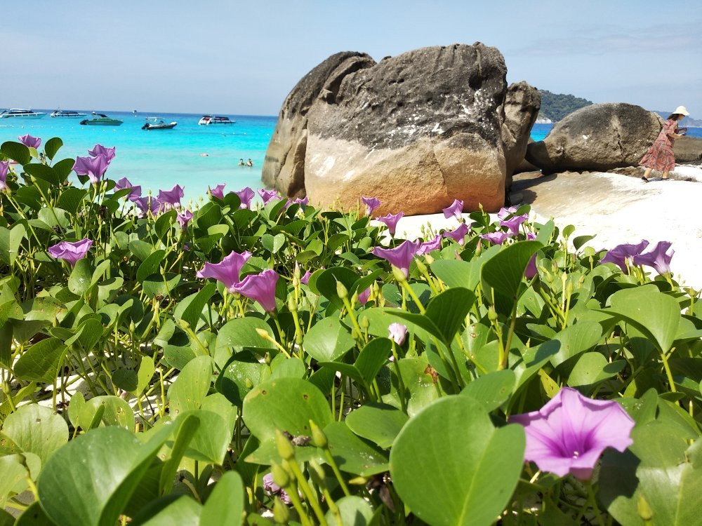 Medsye Travel & Tours-泰曼必去景点