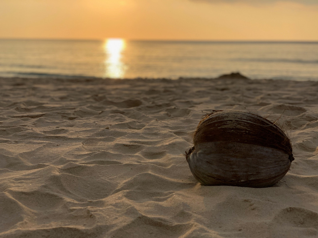 普吉岛生活健康排毒中心度假村主图