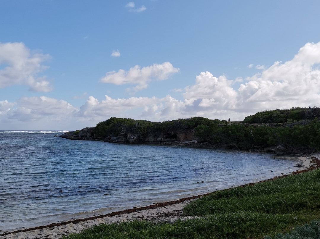 EyesCaraibes-瓜德罗普岛必去景点