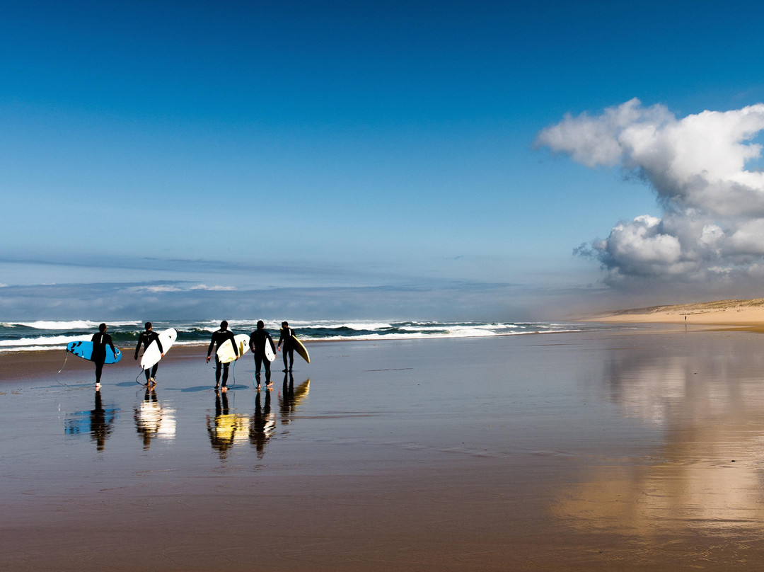 Millésime Privé-波尔多必去景点