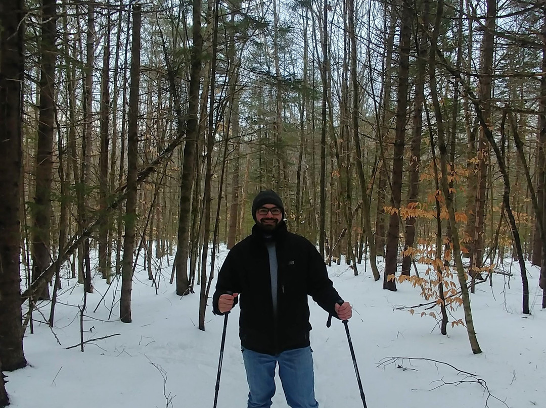 Welch Mountain Chalet Bed & Breakfast主图