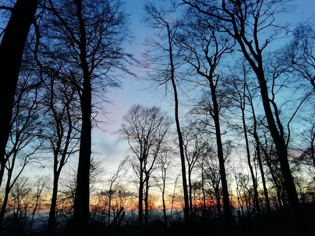 Fernmeldeturm Hünenburg-比勒费尔德必去景点