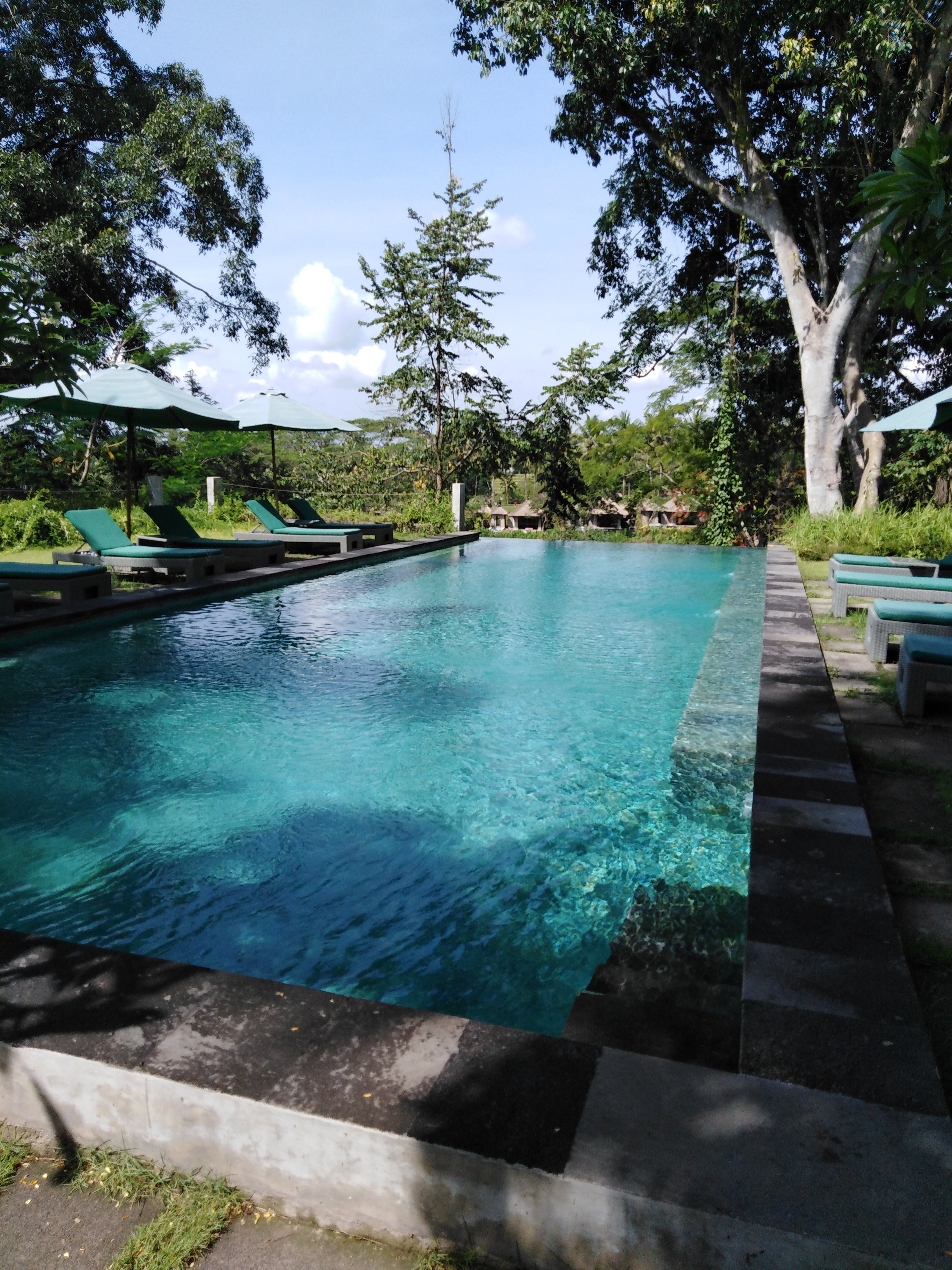 The Hidden Paradise Ubud-泳池