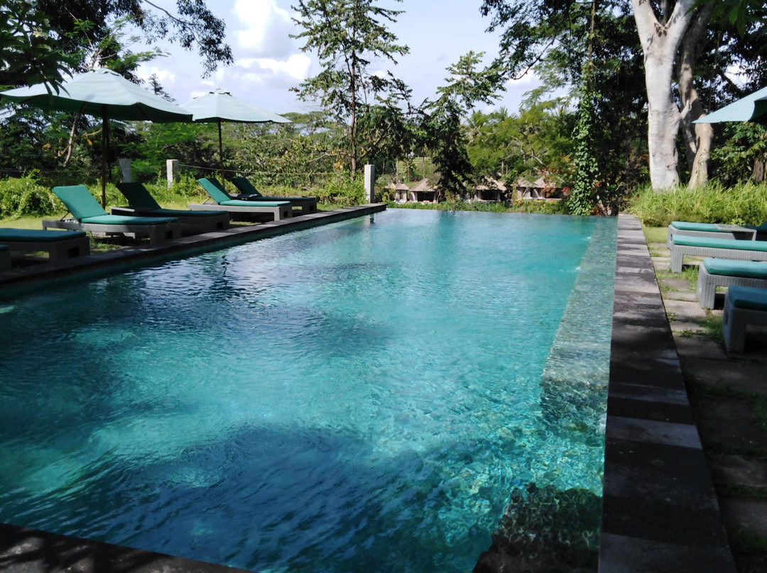 The Hidden Paradise Ubud主图