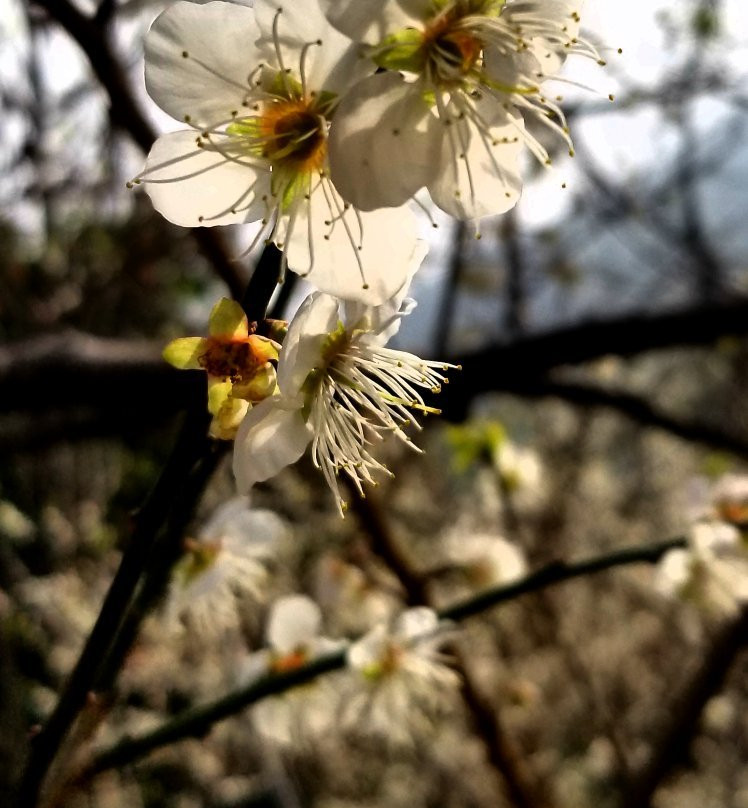 流溪河森林公园-从化市必去景点