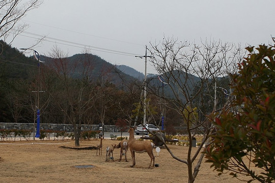 Goheung Buncheong Culture Museum