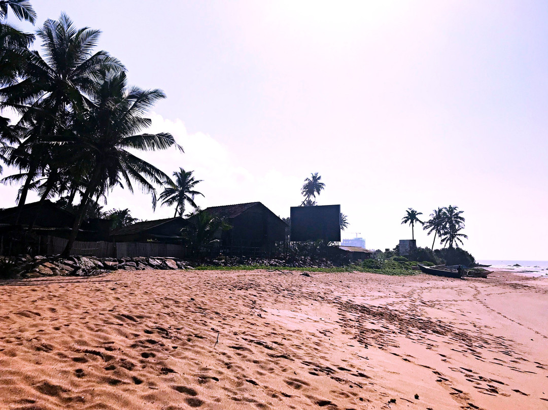 Rosa Shashi Cabanas主图