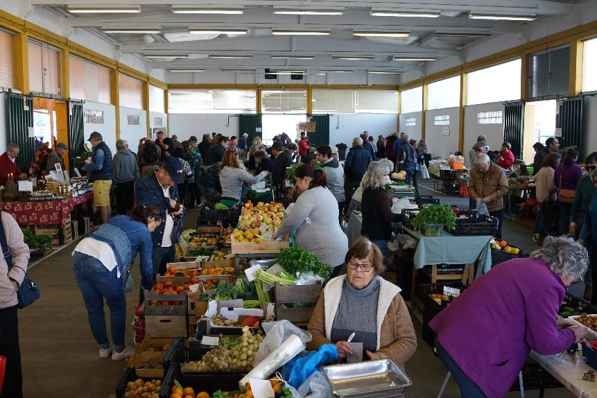 Mercado do Levante-拉各斯必去景点