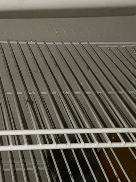 Conero Boat-安科纳必去景点