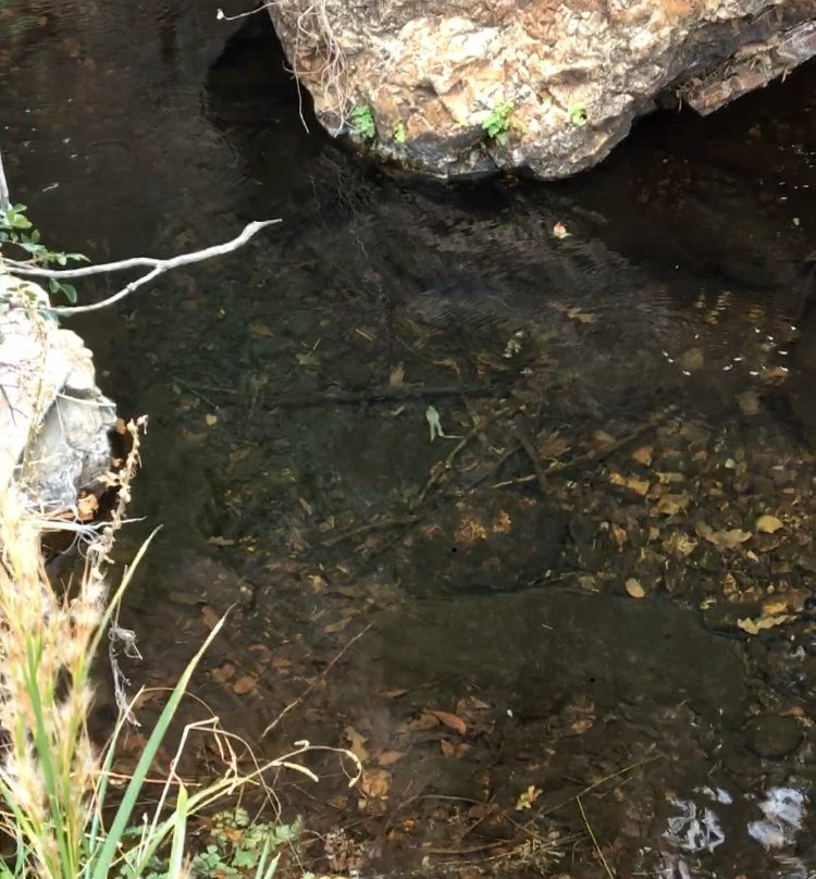 Cattail Falls Trail景点图片