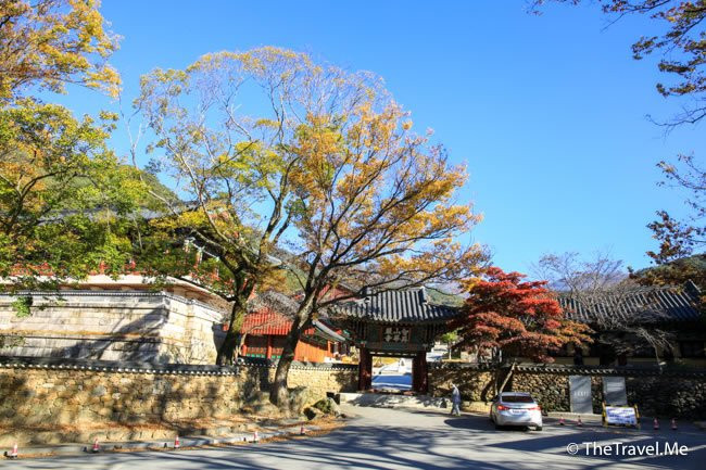 Jirisan National Park-河东郡必去景点
