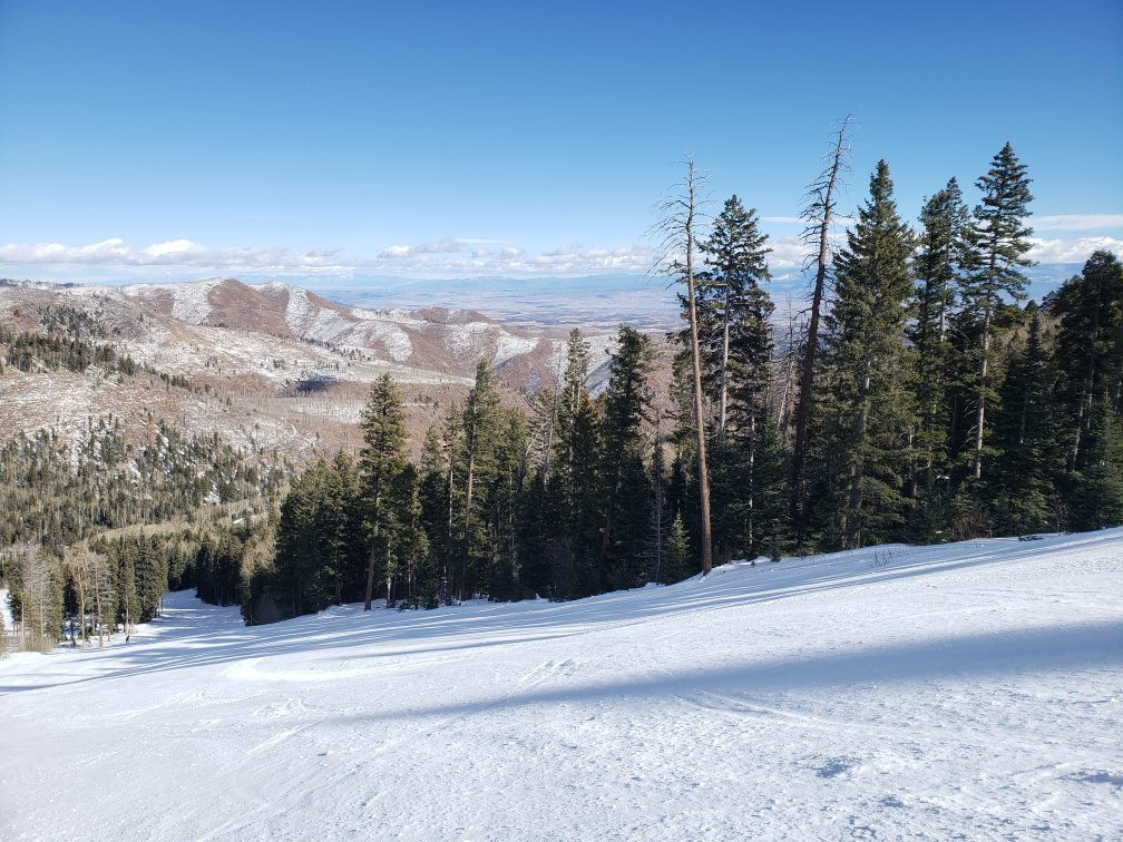 Pajarito Mountain Ski Area景点图片
