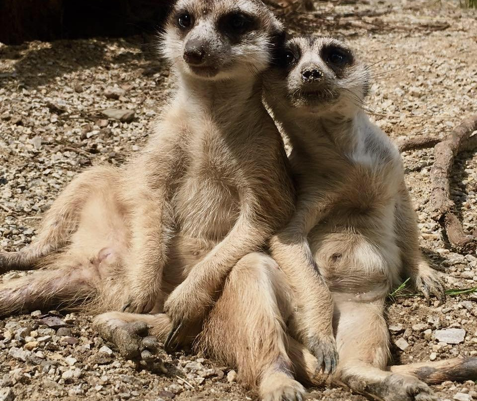 Boerderij Daalhoeve-马斯特里赫特必去景点