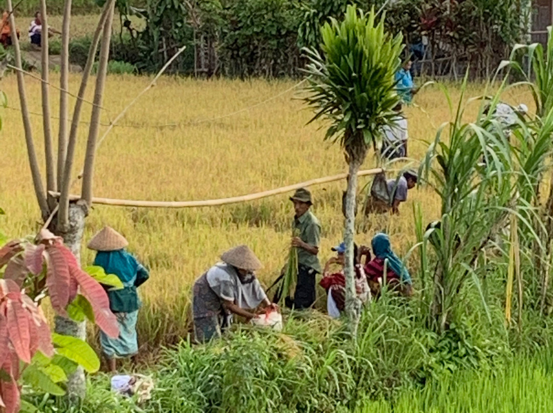 Brigadoon Lombok B&B主图