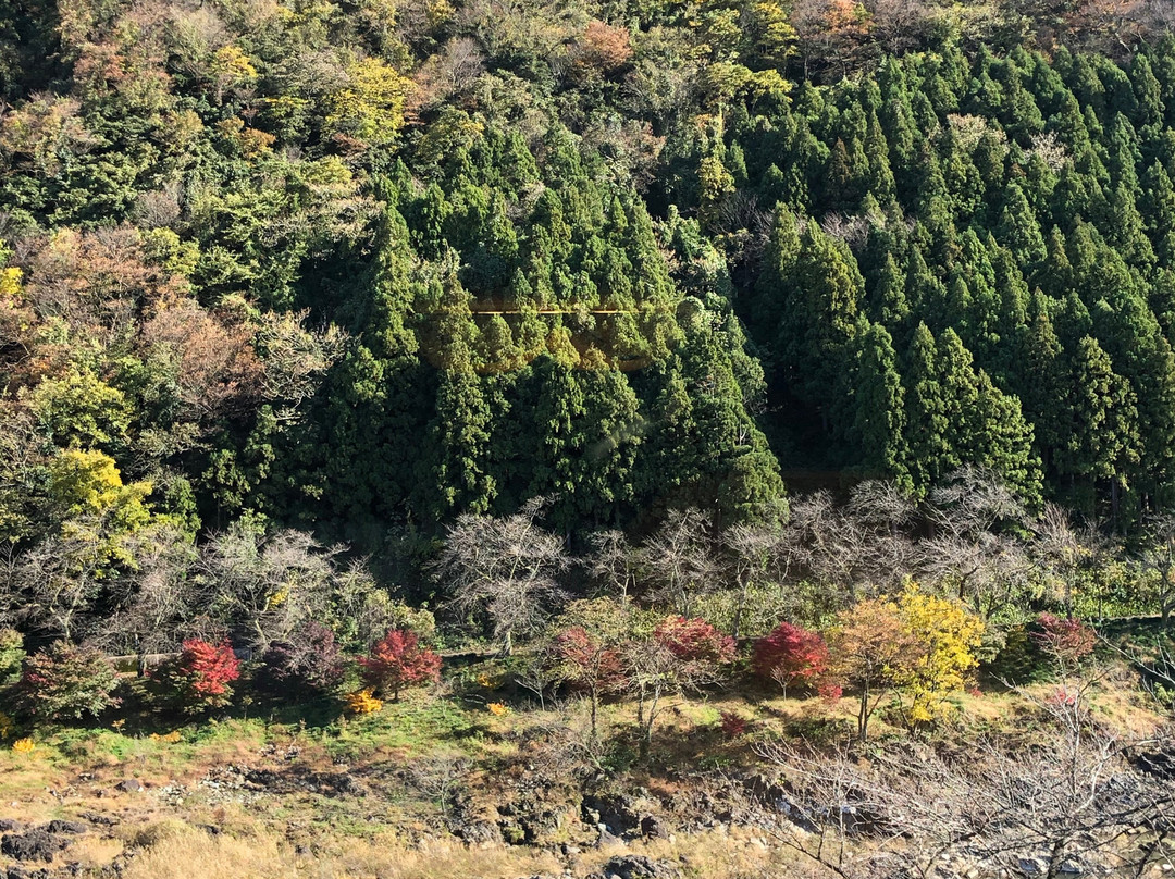 庄川温泉风流味道座敷日式旅馆主图