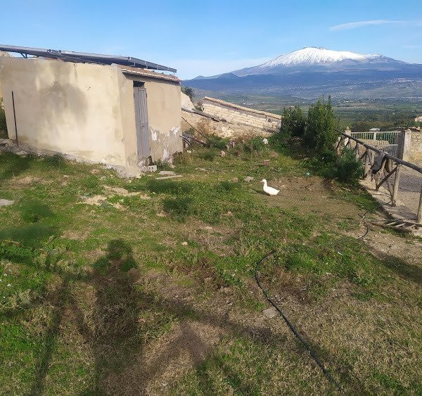 Agriturismo Conte Ruggero主图