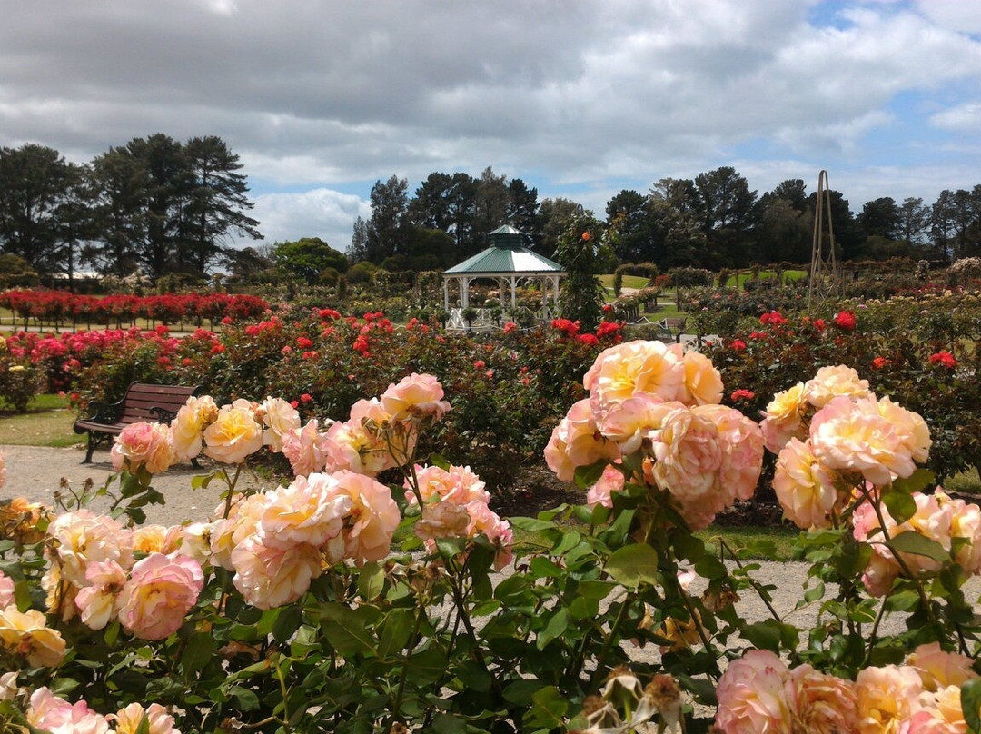 Victoria State Rose Garden-韦里比必去景点