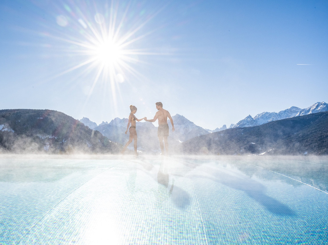 Hotel Alpen Tesitin主图