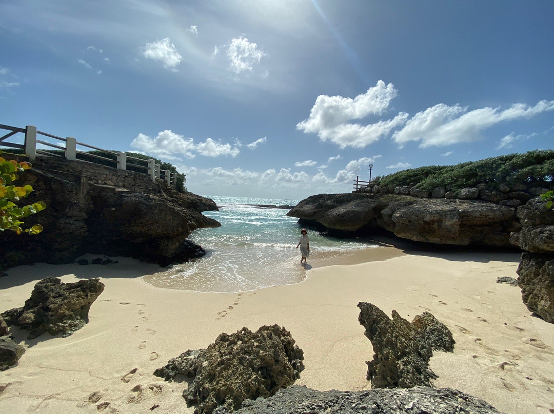 Shark Hole-巴巴多斯必去景点