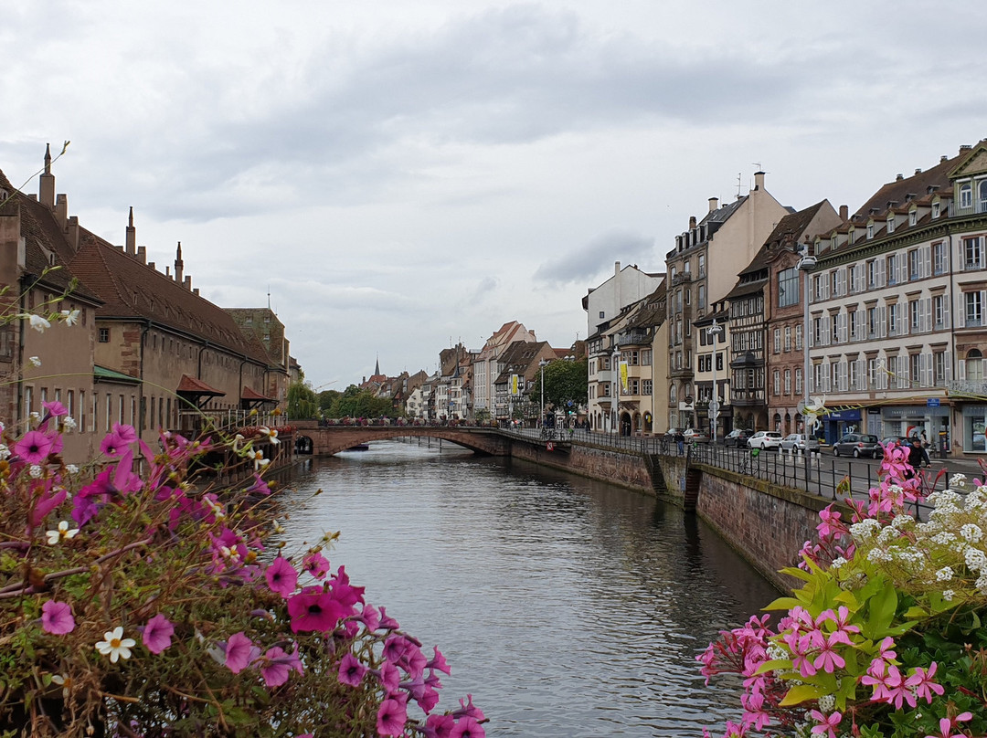 Hotel du Dragon主图