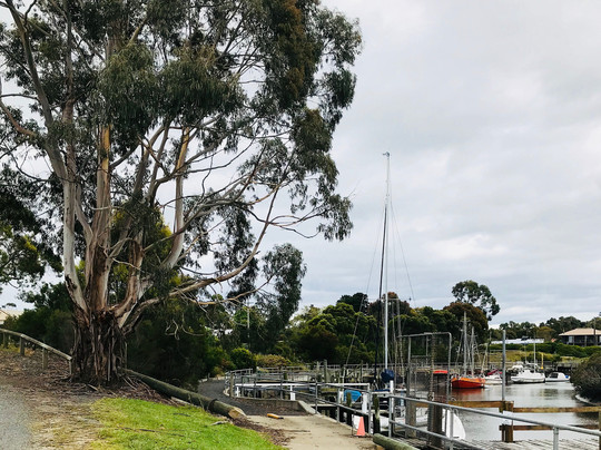 Port Franklin Public Purposes Reserve-Port Franklin必去景点