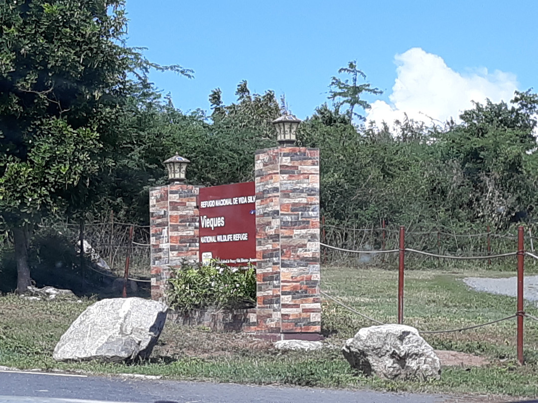 Vieques National Wildlife Refuge-维切克岛必去景点