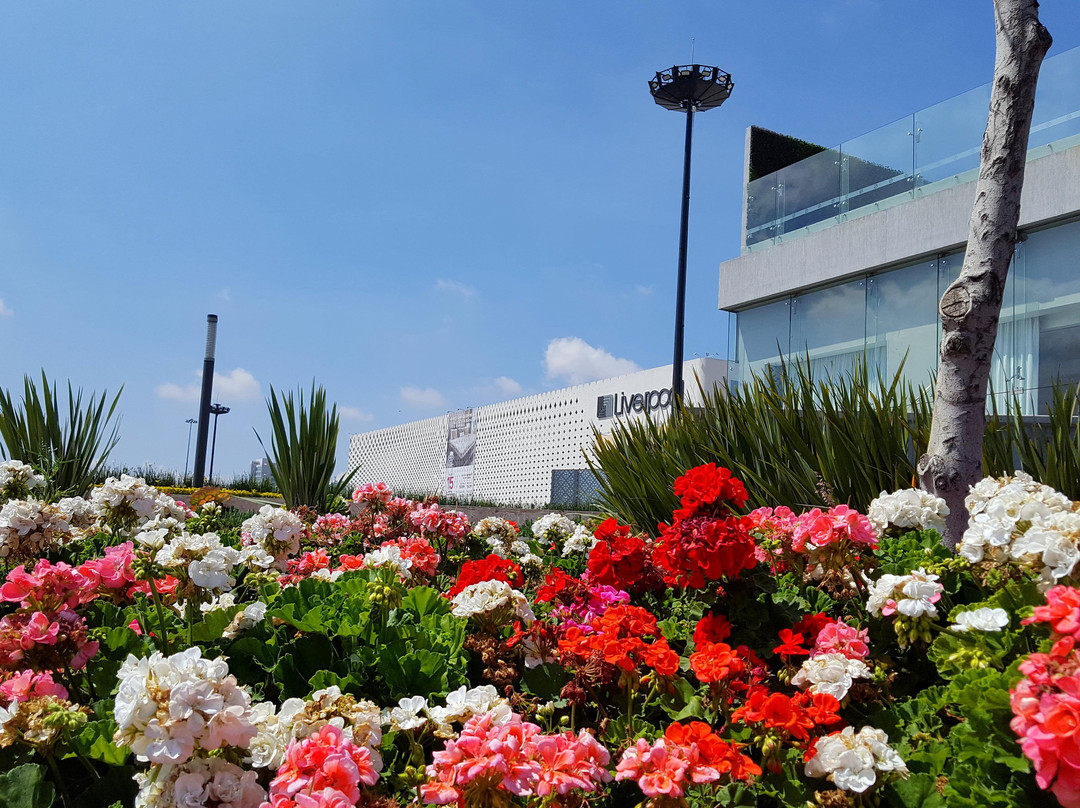 La Casa del Poblanito Hotel Bed & Breakfast & Tours主图