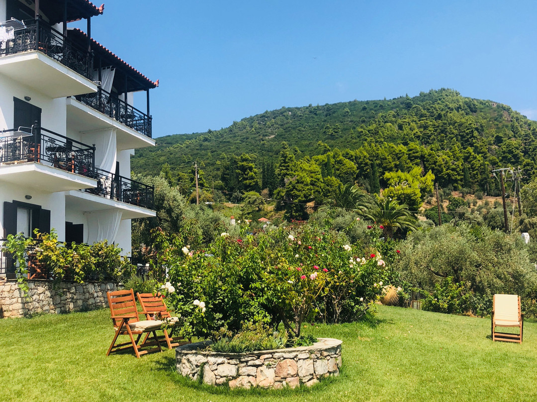 Mando Beachfront主图