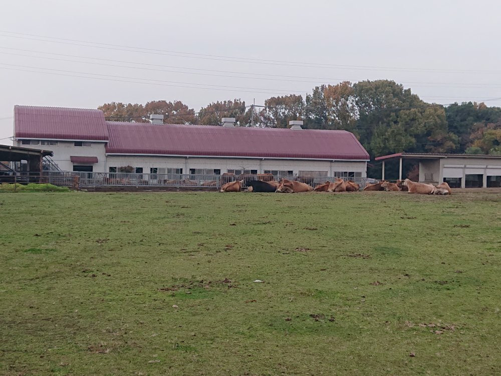 Kyoshin Farm-小野市必去景点