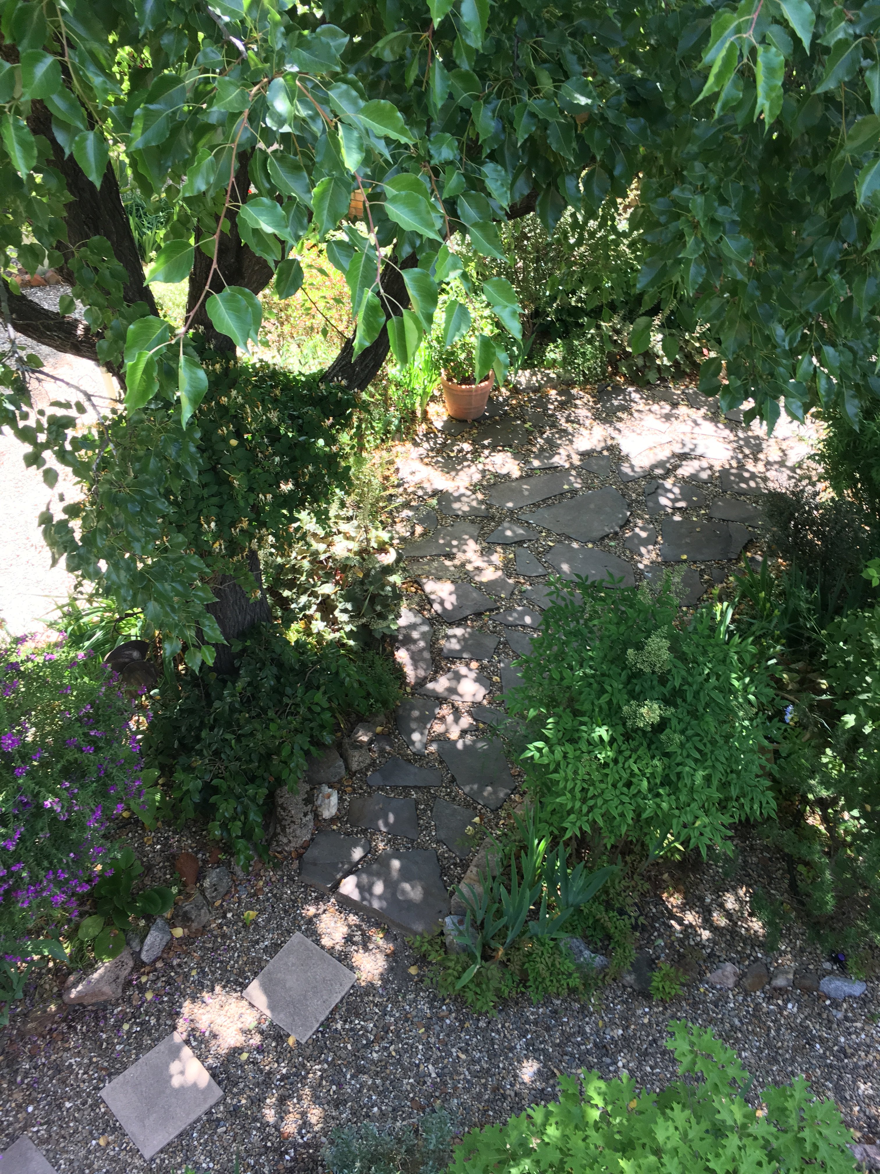 Foxgloves Bed & Breakfast-官方