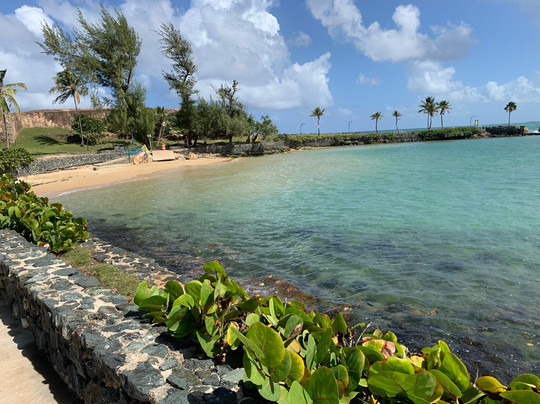 Caribe Aquatic Adventures