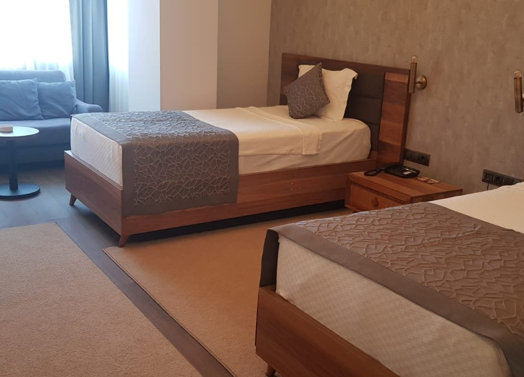 Vista Royal Hotel主图