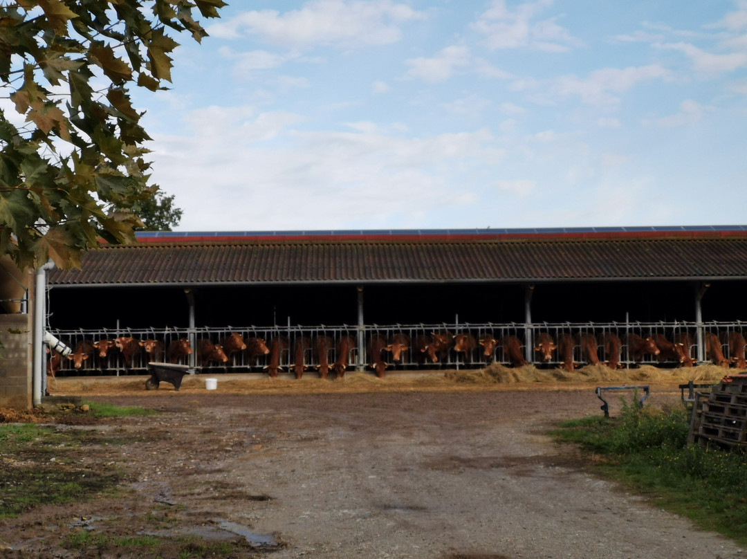 Gites et Roulottes au Domaine de la Trille主图