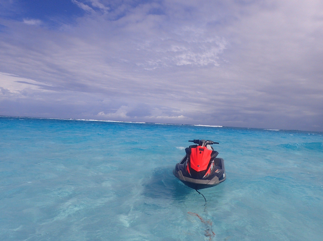 Aqua Watersports, Grand Cayman景点图片