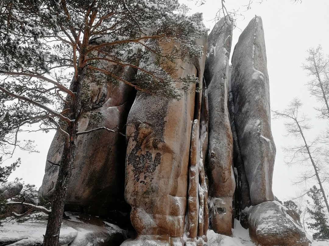 SibTourGuide - Siberian Day Tours景点图片