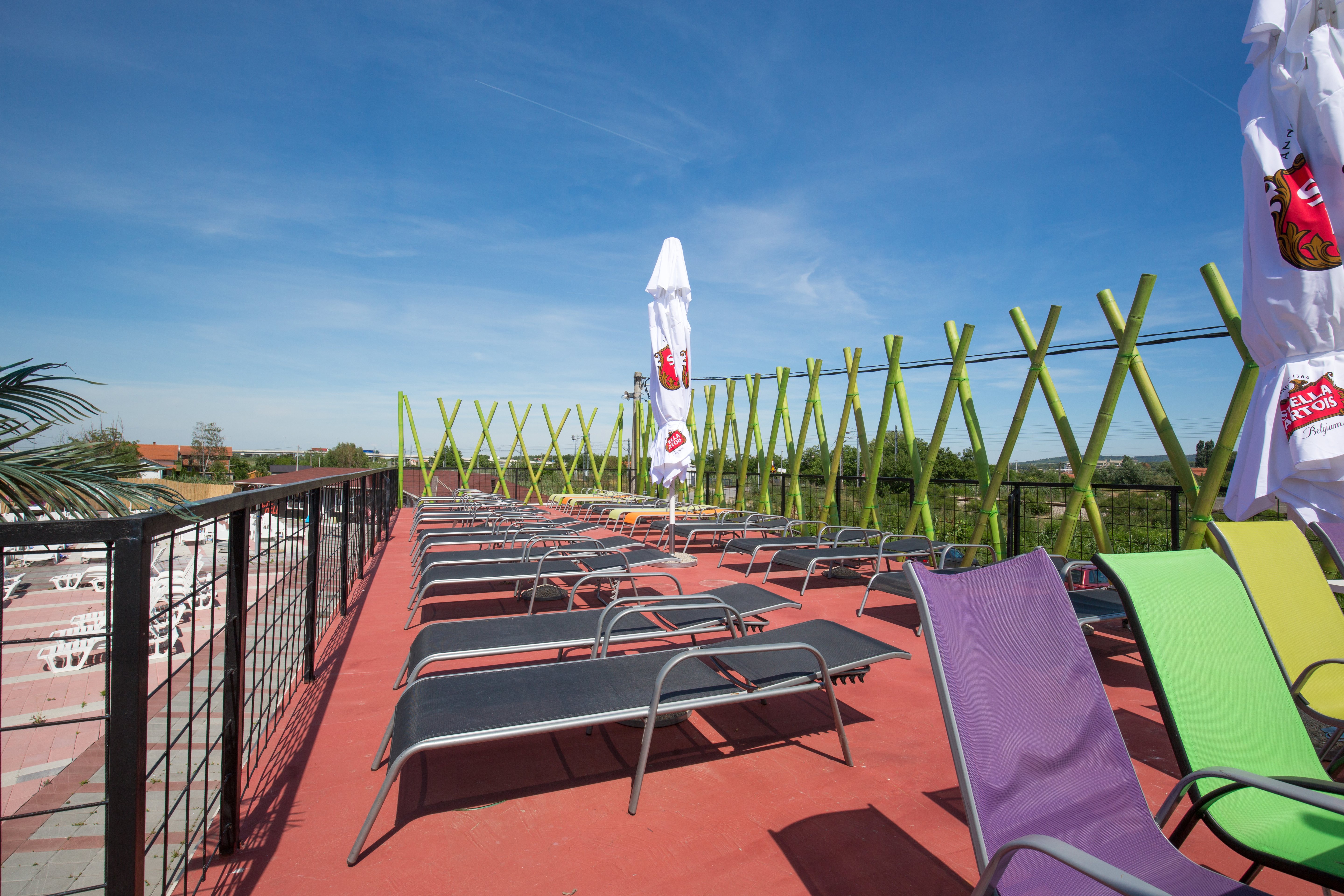 Flamingo Resort-官方