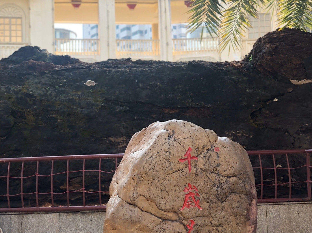 海口骑楼小吃街-海口市必去景点