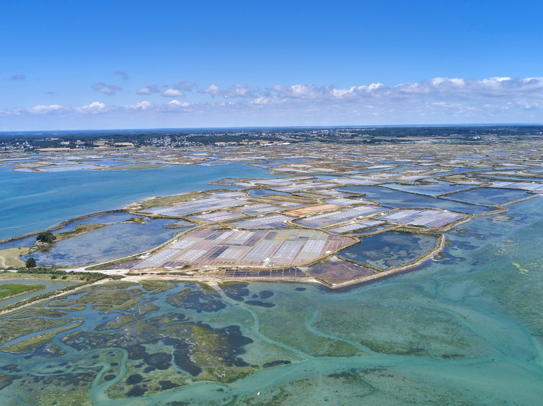 Office du tourisme de la Turballe-La Turballe必去景点