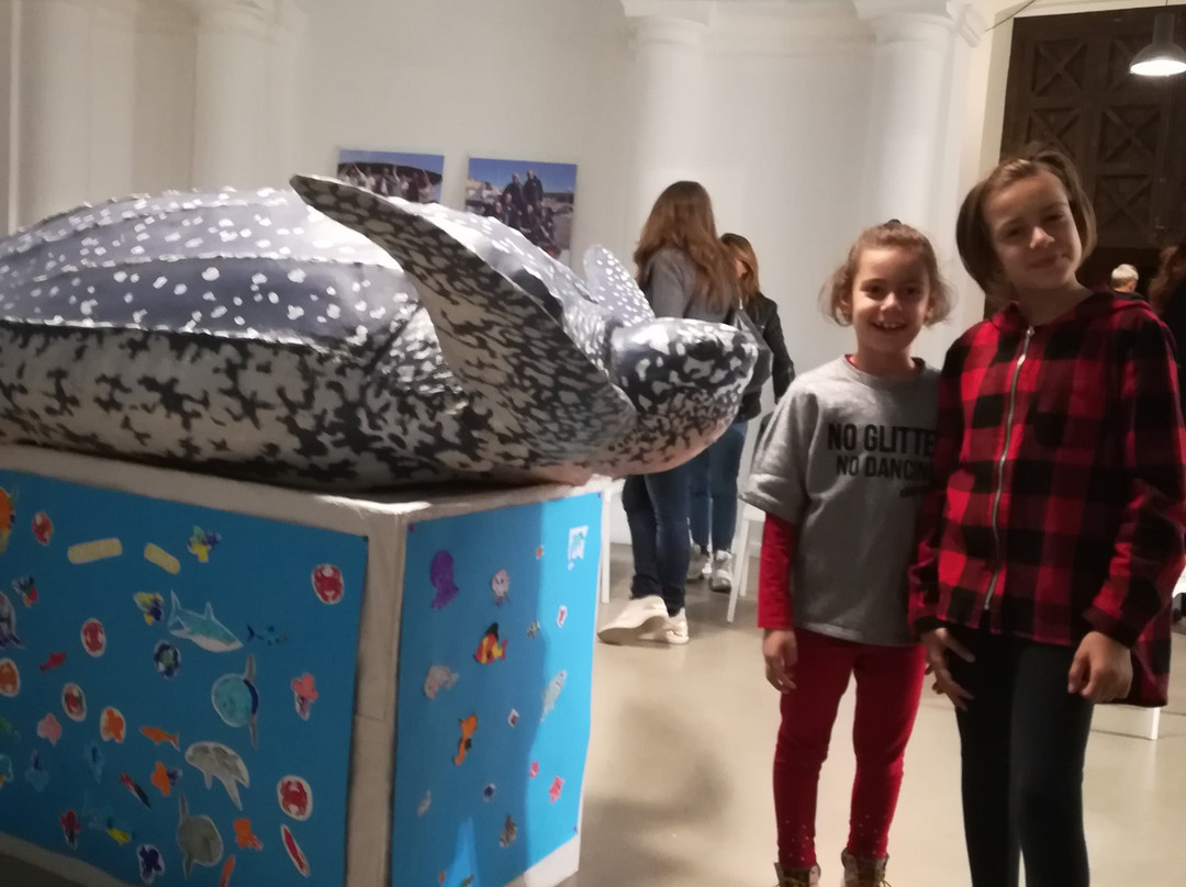 KĒTOS - centro euromediterraneo del mare e dei cetacei-塔兰托必去景点